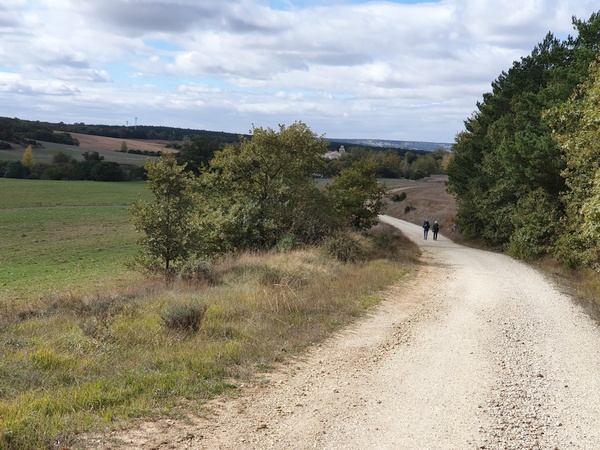 Nice countryside. Could be Denmark.