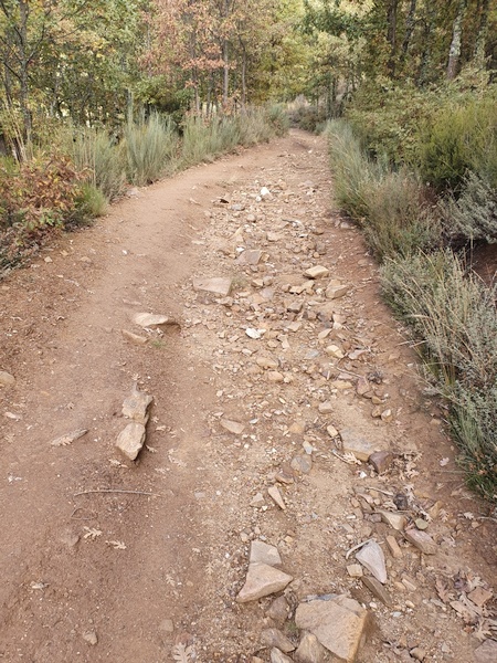 2 km west of Rabanal del Camino: The Camino gets rocky