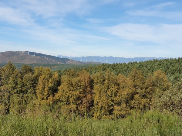More beautiful scenery 1 km after Cruz de Ferro
