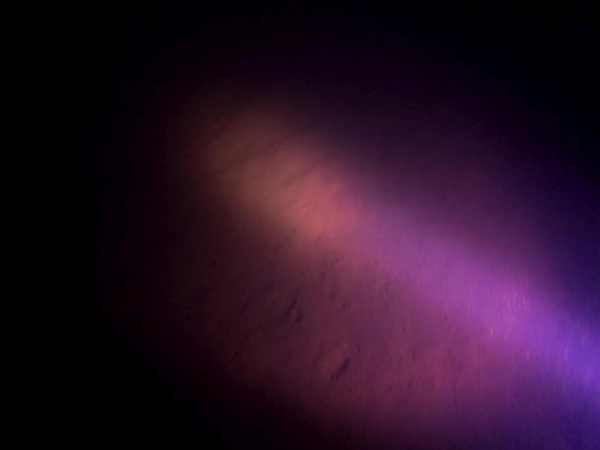 Photo from 16,5 meters. Absolutely nothing to see.