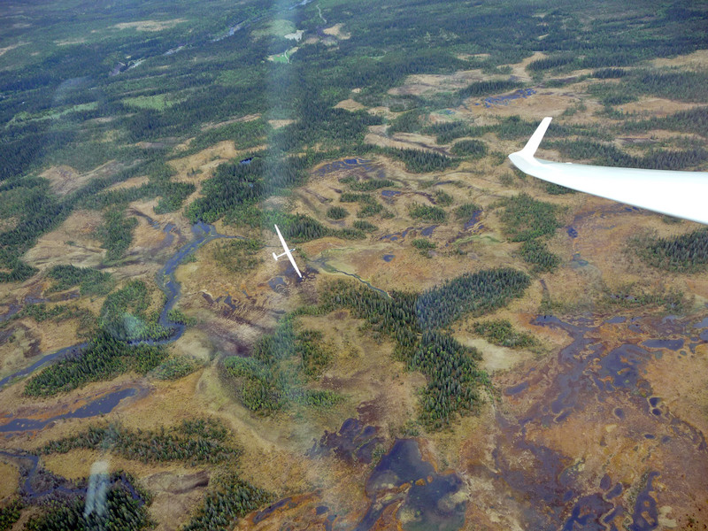 Lavræs over Hedmarksvidda. Alt for lavt ...