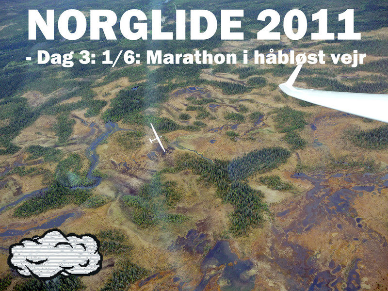Svævefly kurver lavt over terræn