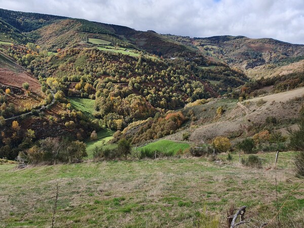 Shortly after La Faba. Now it gets really beautiful. This is probably THE best day of the entire camino walk. Look at those colours