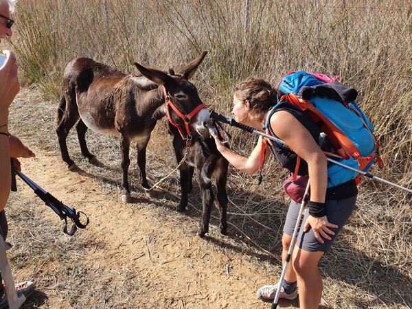 Eleonora and Carola were crazy with this little donkey and her foal. Shortly after Lorca.