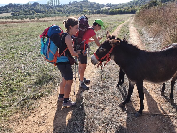 Eleonora and Carola were crazy with this little donkey and her foal. Shortly after Lorca.