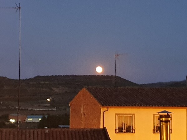 At 20:00. Moon is rising.