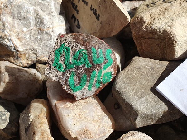 The stone I had brought from home to leave at Cruz de Ferro. \