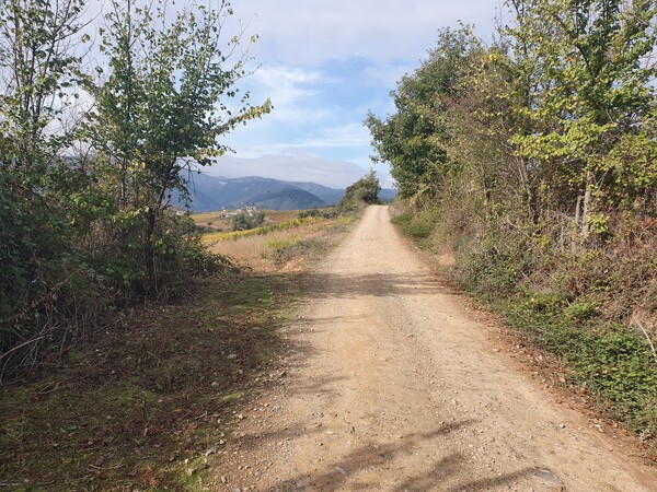 Solemn road near Villafranca del Bierzo
